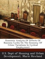 Economic Analysis of Effects of Business Cycles on the Economy of Cities