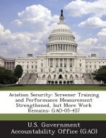 Aviation Security