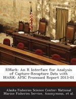 Rmark
