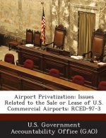 Airport Privatization