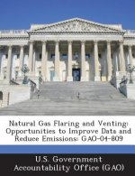 Natural Gas Flaring and Venting