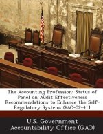 Accounting Profession