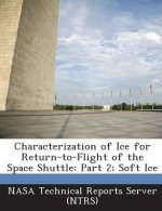 Characterization of Ice for Return-To-Flight of the Space Shuttle