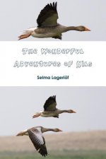 Wonderful Adventures of Nils