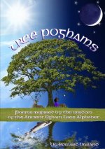 Tree Poghams: Poems Inspired by the Wisdom of the Ancient Ogham Tree Alphabet