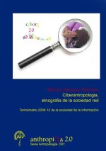 Ciberantropologia, etnografia de la sociedad red Termometro 2008-12 de la Sociedad de la Informacion
