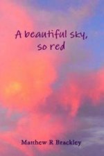 Beautiful Sky,So Red