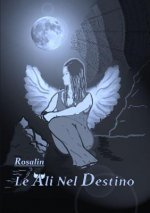 Ali Nel Destino