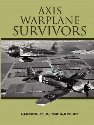 Axis Warplane Survivors
