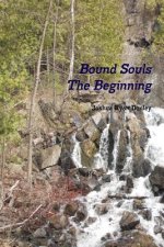 Bound Souls The Beginning