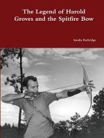 legend of Harold Groves and the Spitfire Bow paperback