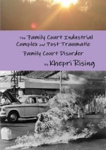 Family Court Industrial Complex and Post Traumatic Family Court Disorder
