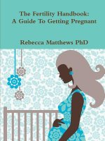 Fertility Handbook: A Guide To Getting Pregnant