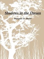 Shadows in the Dream