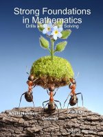 Strong Foundations in Mathematics: Drills and Problem Solving