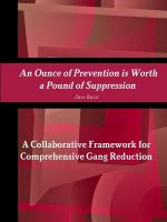 Ounce of Prevention is Worth a Pound of Suppression A Collaborative Framework for Comprehensive Gang Reduction