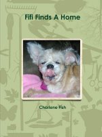 Fifi Finds A Home