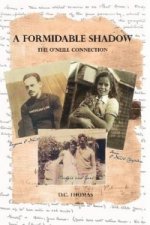 Formidable Shadow: the O'Neill Connection