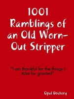 1001 Ramblings of an Old Worn-Out Stripper