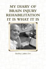 My Diary of Brain Injury Rehabilitation it is What it is