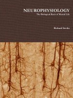 Neurophysiology