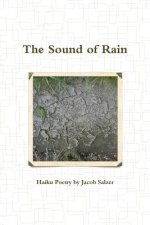 Sound of Rain