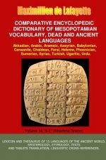 V16.Comparative Encyclopedic Dictionary of Mesopotamian Vocabulary Dead & Ancient Languages