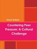 Countering Peer Pressure: A Cultural Challenge