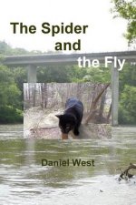 Spider and the Fly