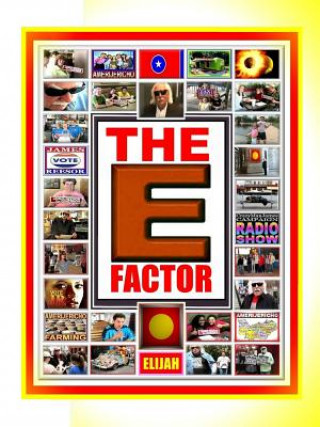 E Factor