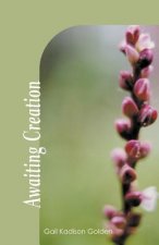 Awaiting Creation