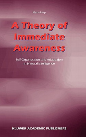 Theory of Immediate Awareness