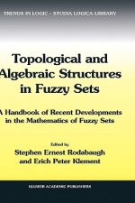 Topological and Algebraic Structures in Fuzzy Sets