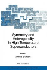 Symmetry and Heterogeneity in High Temperature Superconductors