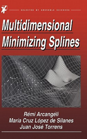 Multidimensional Minimizing Splines