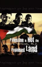 Palestine is Not the Promised Land