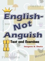 English--not Anguish II