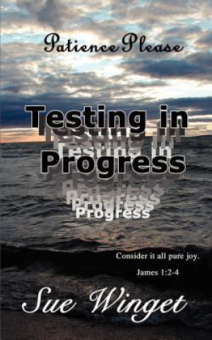 Patience Please - Testing in Progress