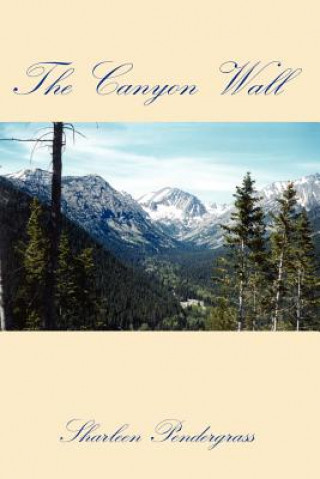 Canyon Wall