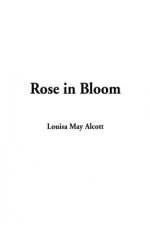 Rose in Bloom