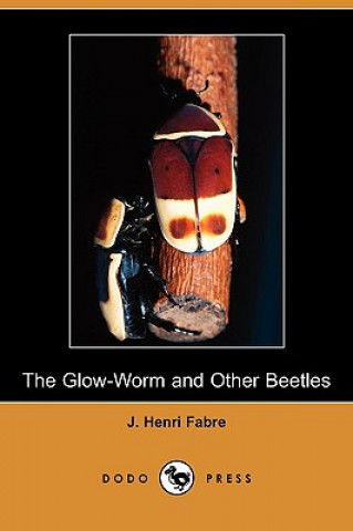 Glow-Worm and Other Beetles (Dodo Press)