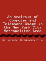 Analysis of Computer and Telephone Usage in the New York City Metropolitan Area