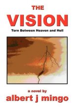 Vision: Torn between Heaven and Hell