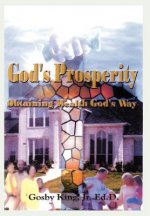 God's Prosperity: Obtaining Wealth God's Way