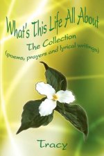 What's This Life All about: the Collection (Poems, Prayers and Lyrical Writings)