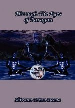 Through the Eyes of Paragon