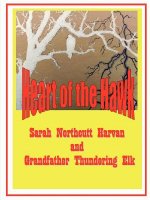 Heart of the Hawk
