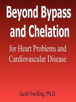 Beyond Bypass and Chelation for Heart Problems and Cardiovascular Disease