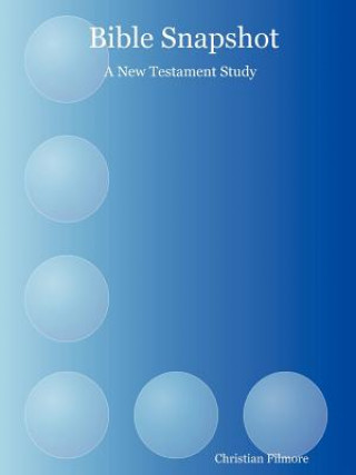 Bible Snapshot