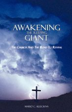 Awakening the Sleeping Giant: the Church and the Road to Revival